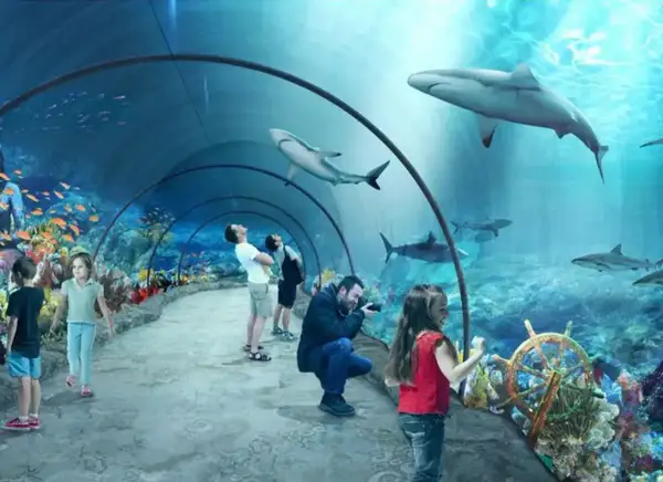 Podwodny tunel w oceanarium Niechorze, gdzie zwiedzający podziwiają rekiny i kolorowe ryby.