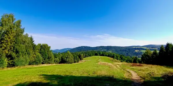 Piękny, zielony szlak na Trzy Kopce Wiślańskie prowadzi przez wzgórza i lasy.