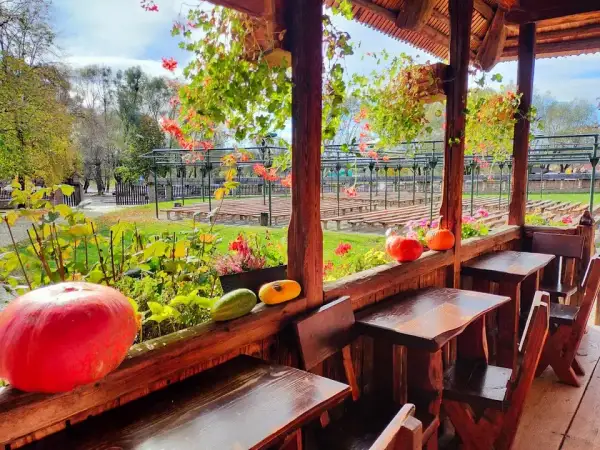 Gdzie zjeść w Sanoku? Odkryj najlepsze restauracje i smaki regionu