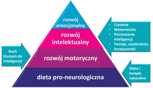 Piramida rozwoju: dieta, ruch, rozwój motoryczny, intelektualny i emocjonalny. Kluczem do inteligencji jest ruch, a sprawczość buduje się na fundamencie zdrowia.
