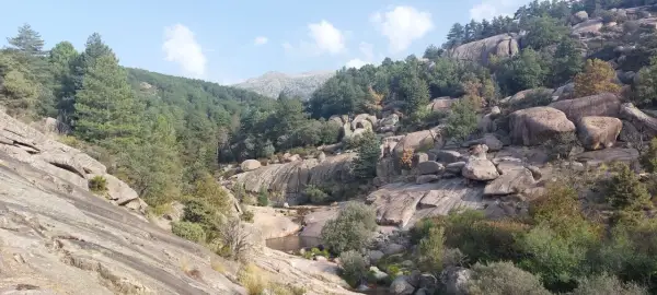 Paisaje rocoso con vegetación y un pequeño río, ideal para **la pedriza rutas**.