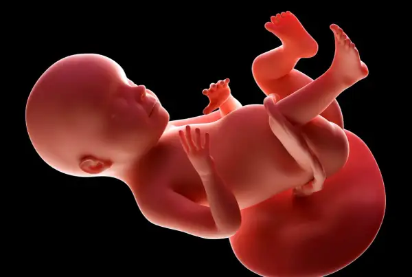 Płód w 28 tygodniu ciąży, który to miesiąc to już początek 7. miesiąca. Dziecko rośnie i rozwija się w łonie matki.