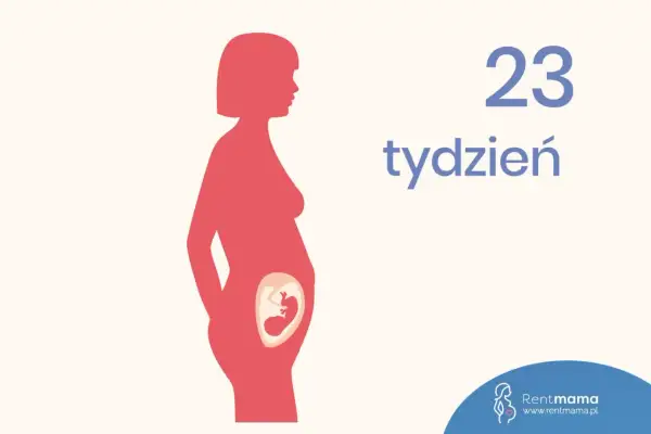 Sylwetka kobiety w ciąży z widocznym płodem. Obrazek informuje, że to 23 tydzień ciąży, który to miesiąc jest już zaawansowany.