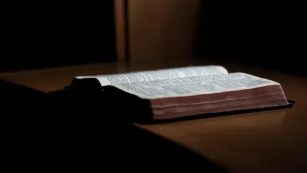 En öppen bibel ligger på ett träbord. Sidorna är fyllda med text, och det ser ut som om det är ett av breven som skrevs Paulus brev till.