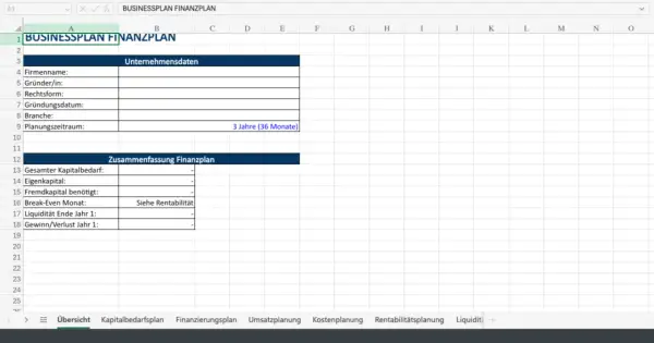 Excel-Tabelle zur Erstellung eines Finanzplans mit Feldern für Unternehmensdaten und Zusammenfassung.