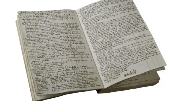 Altes Schriftdokument mit handgeschriebenen Notizen und botanischen Zeichnungen.