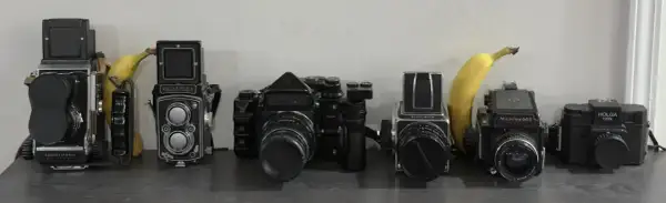 A lineup of vintage cameras, including a Mamiya C2, Rolleiflex, Hasselblad, Mamiya 645, and Holga, with bananas for scale.