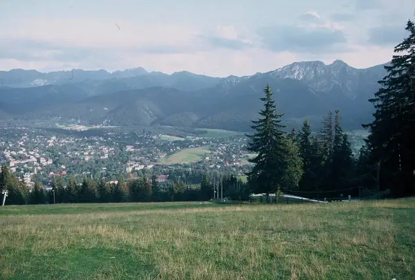 Widok na Tatry z górskiej łąki, z miastem w dolinie i lasem po prawej.