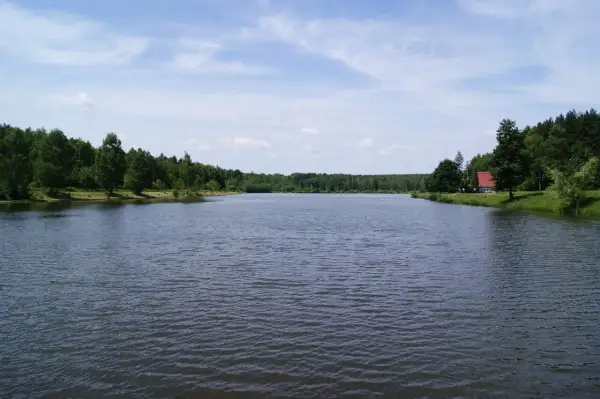 Spokojna tafla jeziora, otoczona zielenią lasów, z małym czerwonym domkiem na brzegu. Wesoła fala Mysłowice zaprasza do odpoczynku.