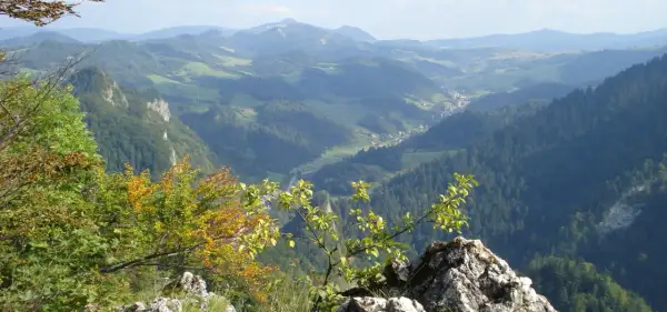 Widok na malownicze szczyty w Pieninach, z doliną i lasami w tle.