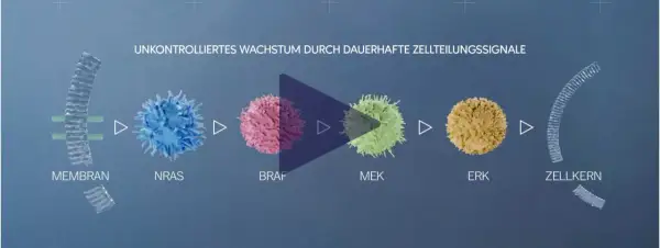 Zellteilungssignale treiben unkontrolliertes Wachstum bei Hautkrebs an. Immuntherapie kann hier ansetzen.