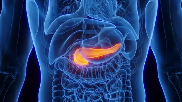 Jaki lekarz od trzustki? Gastroenterolog objawy i diagnoza