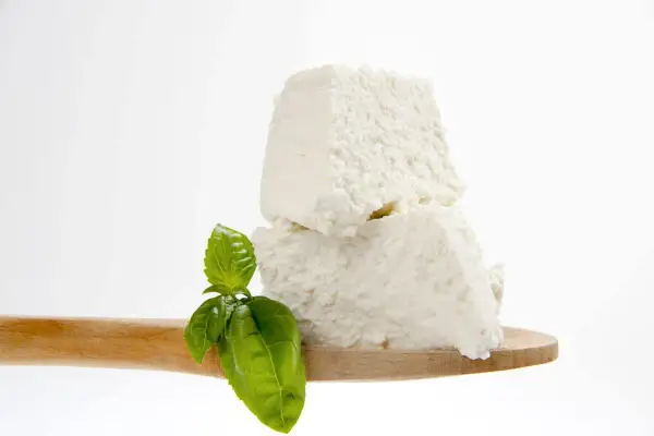 Ricotta fresca su cucchiaio di legno con basilico, un assaggio di come si fa la ricotta in caseificio.