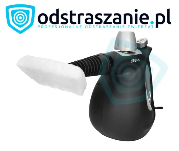 Parownica na pluskwy: Jak wybrać i skutecznie pozbyć się insektów?