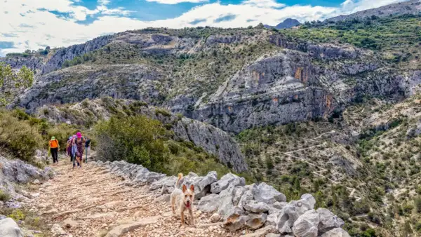 Un grupo de senderistas y un perro disfrutan de una ruta de senderismo en Alicante, con un camino pedregoso y montañas escarpadas.
