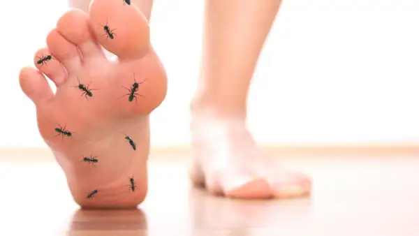 Mrówki na stopie symbolizują mrowienie i drętwienie, objawy neuropatii cukrzycowej.