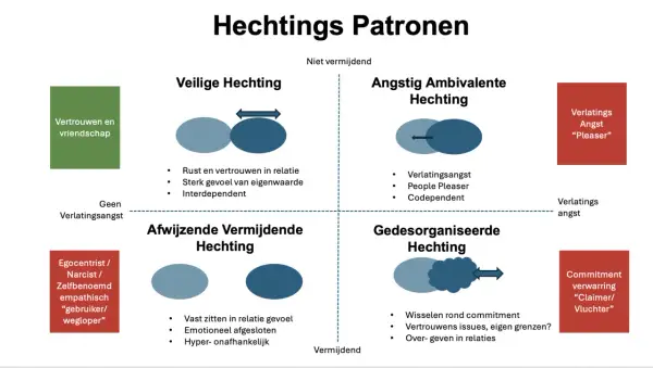 Diagram toont vier hechtingspatronen: veilig, angstig ambivalent, afwijzend vermijdend en gedesorganiseerd. Onveilige hechting wordt hierin uitgelegd.