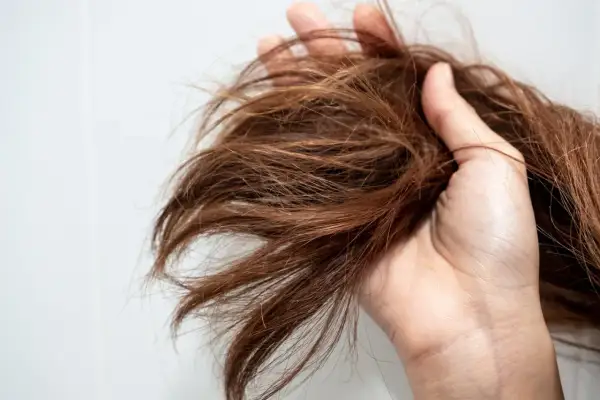Une main tient une mèche de cheveux châtain, visiblement secs et emmêlés. Ces cheveux secs causes peuvent être dus à de nombreux facteurs.