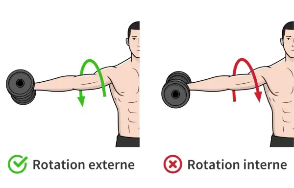 Rotation externe pour muscler les épaules : mouvement correct avec haltère. Rotation interne : mouvement incorrect.