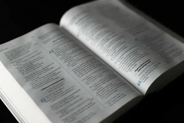 Otwarta Biblia, na której strony czytamy o tym, czy zwierzęta idą do nieba.