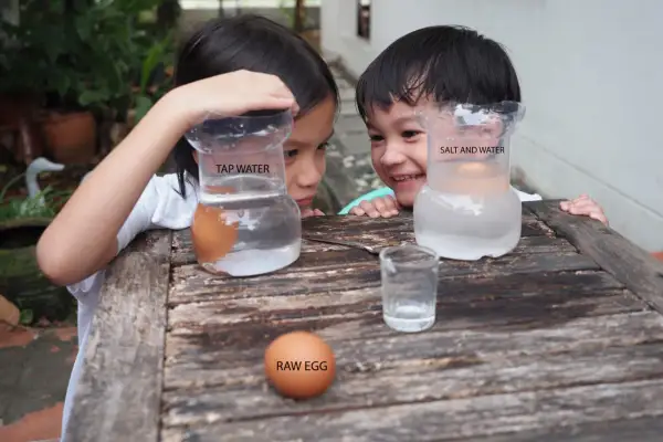 Niños observan experimentos con agua y un huevo. Un huevo flota en agua salada, otro se hunde en agua normal.