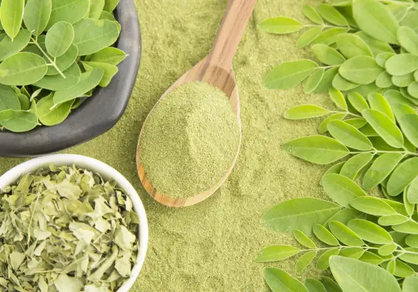 Moringa na odchudzanie jak stosować: skuteczne metody i dawkowanie