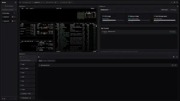 Zarządzanie serwerem Racknerd #1 przez **dostęp SSH**. Widok menedżera serwerów z informacjami o CPU, pamięci i dyskach.
