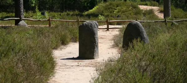 Kamienne kręgi Odry, tajemnicze głazy pośród wrzosowisk, strzegą ścieżki w lesie.