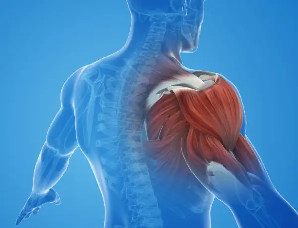Contractura muscular: Identifica el "nudo" y dile adiós al dolor.