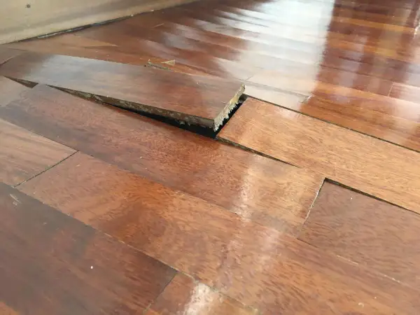 Parquet sollevato e deformato, con evidenti macchie di umidità che hanno compromesso le doghe.