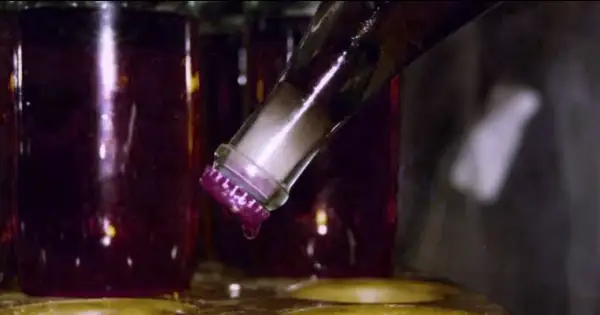 Bottiglia di vino rosso con tappo viola, una goccia cade. Il dégorgement significato è la rimozione del sedimento.