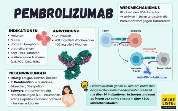 Pembrolizumab: Indikationen, Anwendung, Wirkmechanismus und Nebenwirkungen. Erfolge bei vielen Krebsarten.