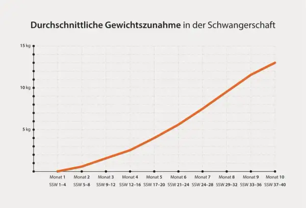Grafik zeigt die durchschnittliche Gewichtszunahme in der Schwangerschaft. Die Zunahme steigt von ca. 1 kg in Monat 1 auf fast 14 kg in Monat 10.