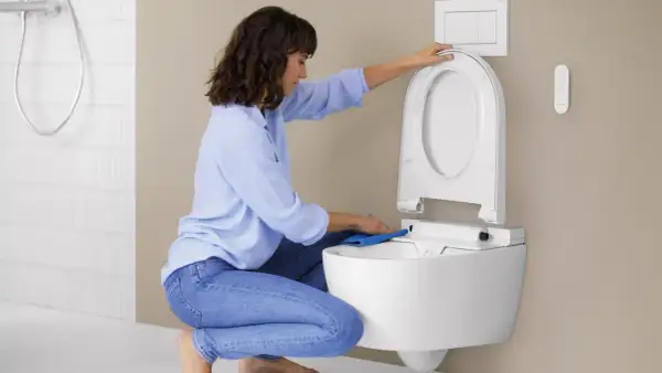 Donna pulisce il WC con un panno blu. Per una pulizia profonda, usa ammoniaca per pulire wc.
