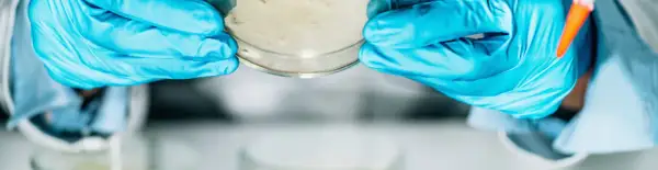 Jak założyć laboratorium mikrobiologiczne - kluczowe wymagania i procedury