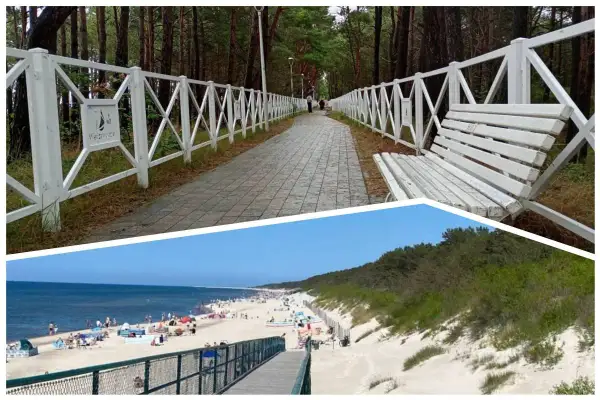 Ścieżka przez las z białym płotem i ławką prowadzi do plaży. Międzywodziu atrakcje to idealne miejsce na wypoczynek.
