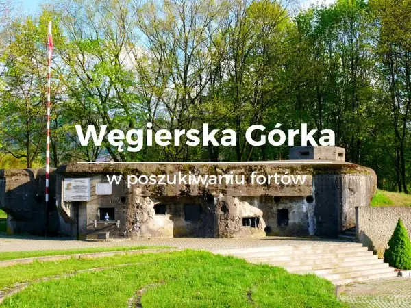 Węgierska Górka: zwiedzanie historycznych bunkrów. Potężne fortyfikacje z zielenią w tle.