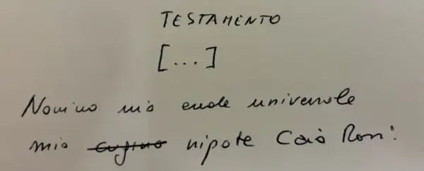 Testamento olografo non registrato: "Nomino mio erede universale mio cugino nipote Caio Ron". La validità è garantita dalla forma.