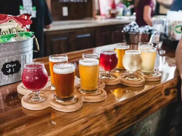 Bierverkostung mit verschiedenen Sorten in Gläsern auf Holztabletts. Perfekte trinktemperatur für jedes Bier.