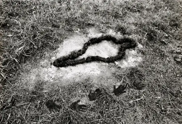 A dark, organic shape resembling a snake or a twisted rope lies in a patch of light soil, surrounded by grass. Handprints are visible in the foreground, part of the silueta series.