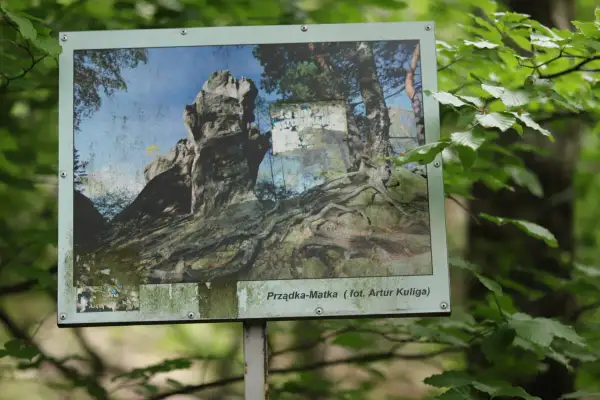 Tablica informacyjna w lesie przedstawia skalne formacje i korzenie drzew. Podpis "Prządka-Matka" sugeruje, skąd pochodzi nazwa rezerwatu prządki, nawiązując do legendy.
