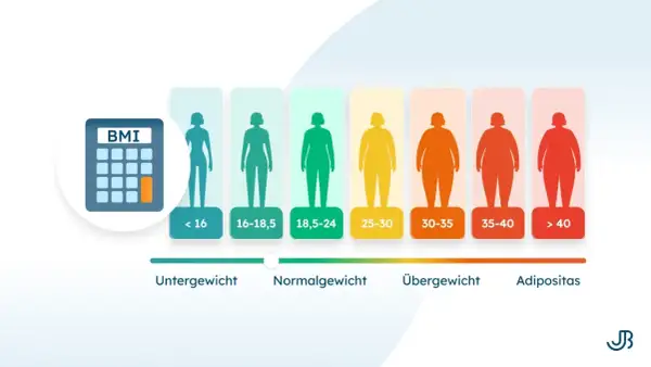 BMI-Rechner zeigt verschiedene Körpertypen von Untergewicht bis Adipositas. Ein Kaloriendefizit zum Abnehmen ist wichtig für die Gesundheit.
