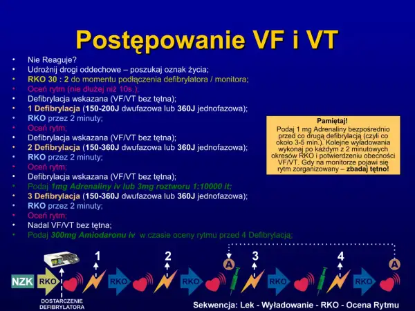 Algorytm postępowania przy częstoskurczu komorowym (VF/VT) bez tętna: RKO, ocena rytmu, defibrylacja, leki.