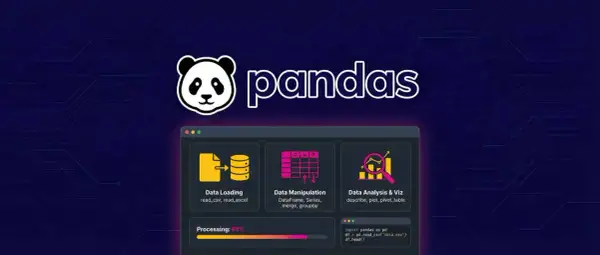 Interface de programmation pour l'analyse de données avec pandas. Chargement, manipulation et visualisation de données.