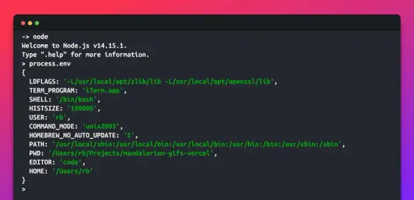 Terminal affichant les variables d'environnement de Node.js, incluant `process.env`, dans un environnement de développement.