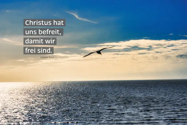 Ein Vogel fliegt über das Meer. Der Text "Christus hat uns befreit, damit wir frei sind." (Galater 5,1 a) vermittelt bibelzitate hoffnung.