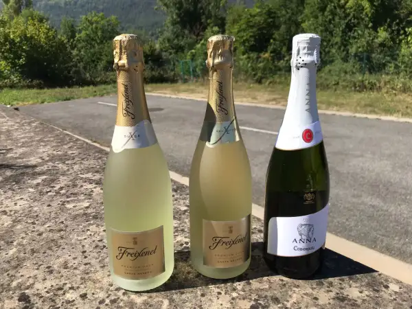 Tre bottiglie di cava spumante, due Freixenet e una Anna de Codorníu, su un muretto con sfondo verdeggiante.