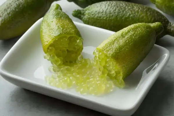 Citronnier caviar : des fruits verts allongés ouverts révèlent leurs perles juteuses sur une coupelle blanche.