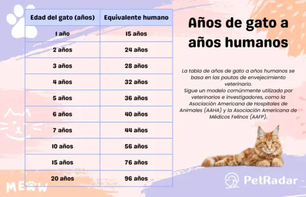 Tabla que muestra cuánto vive un gato en años humanos. Un gato de 1 año equivale a 15 años humanos.
