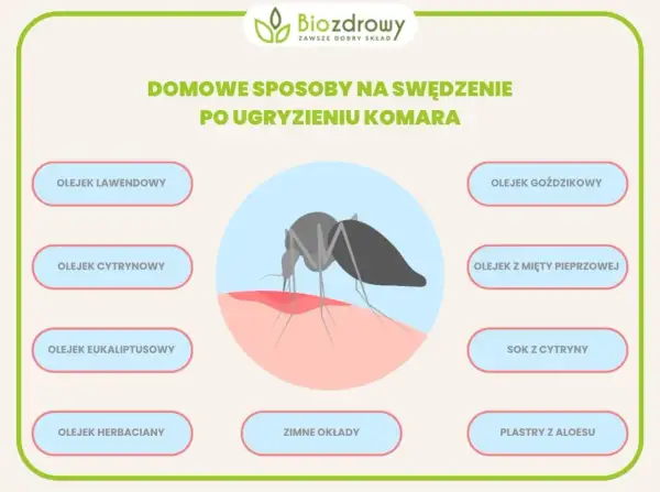 Domowe sposoby na swędzenie po ugryzieniu komara: olejki, sok z cytryny, zimne okłady i plastry z aloesu.